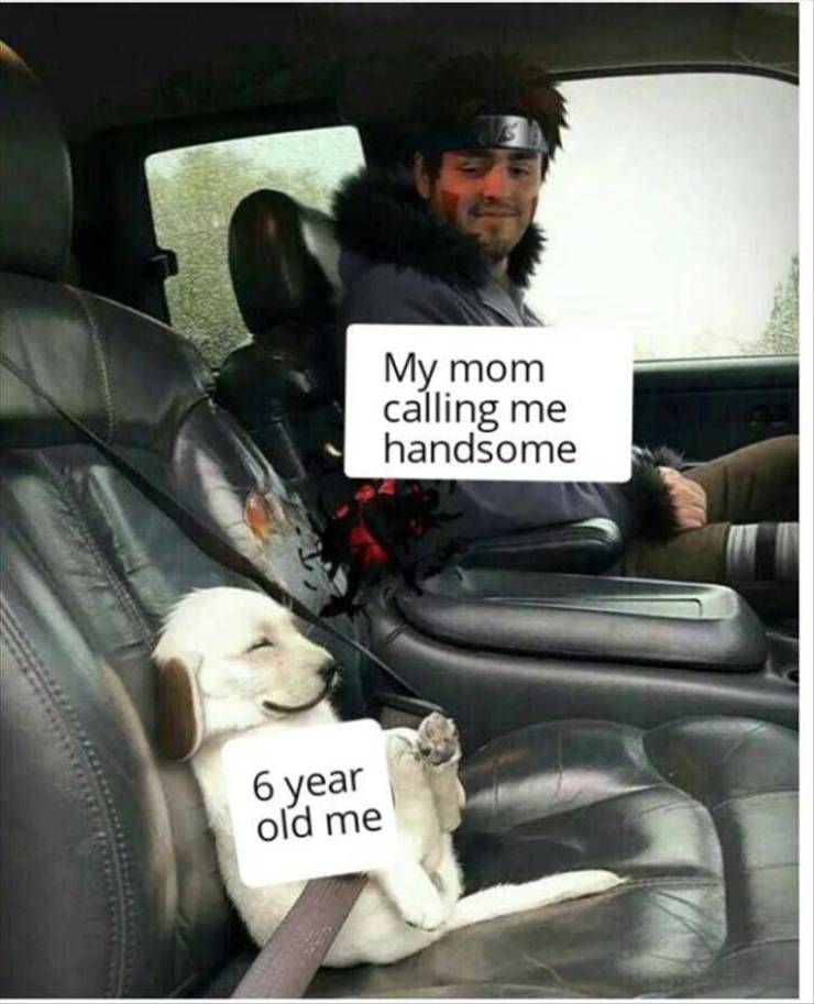 safety first meme dog - My mom calling me handsome 6 year old me