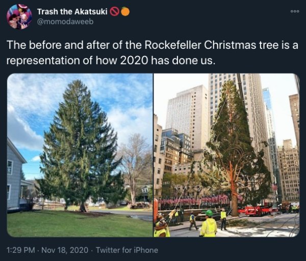 Rockefeller Center Christmas Tree - Doo Trash the Akatsuki The before and after of the Rockefeller Christmas tree is a a representation of how 2020 has done us. . Twitter for iPhone