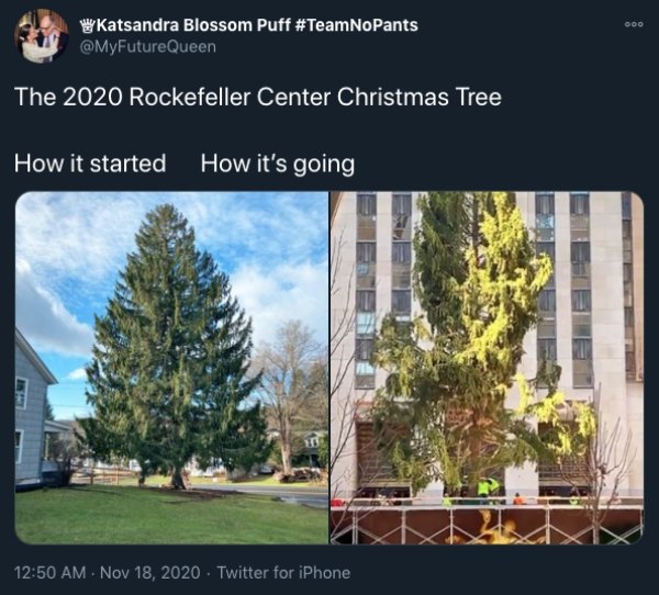 Rockefeller Center Christmas Tree - The 2020 Rockefeller Center Christmas Tree How it started How it's going 1 . Twitter for iPhone