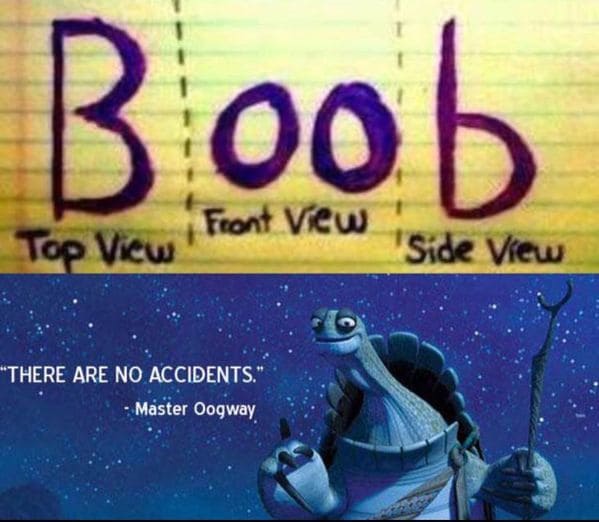 graphic design - Boob Front View Top View Side View There Are No Accidents." " Master Oogway