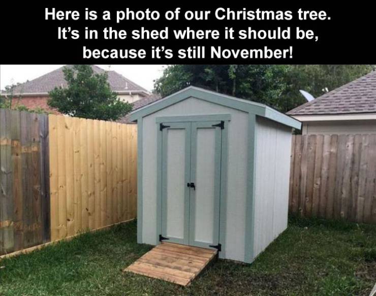 shed - Here is a photo of our Christmas tree. It's in the shed where it should be, because it's still November!