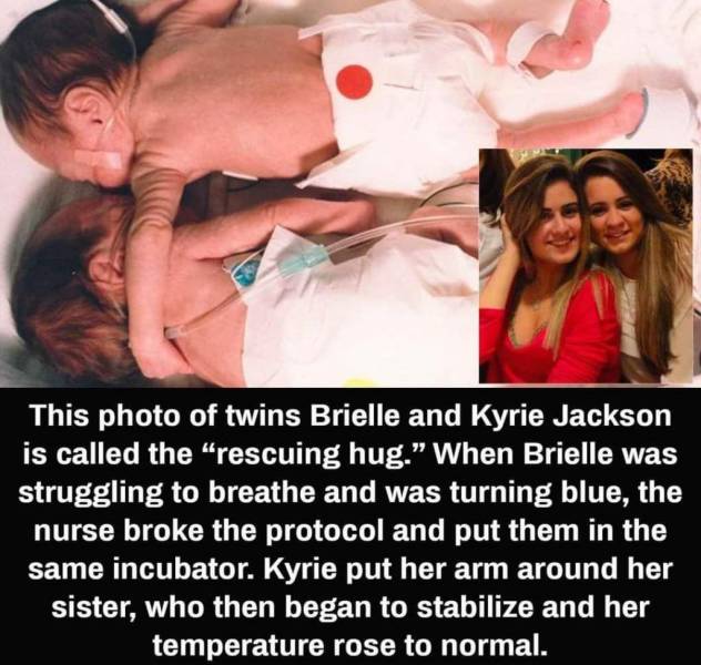 funny random pics - brielle & kyrie - This photo of twins Brielle and Kyrie Jackson is called the rescuing hug. When Brielle was struggling to breathe and was turning blue, the nurse broke the protocol and put them in the same incubator. Kyrie put her arm