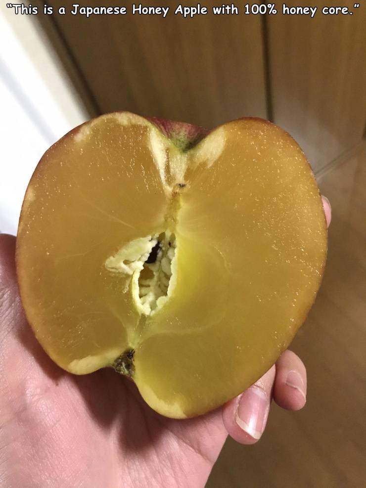 funny random pics - Apple - "This is a Japanese Honey Apple with 100% honey core."