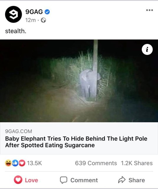 video - ... 9GAG 12m. stealth. i 9GAG.Com Baby Elephant Tries To Hide Behind The Light Pole After Spotted Eating Sugarcane 639 Love Comment