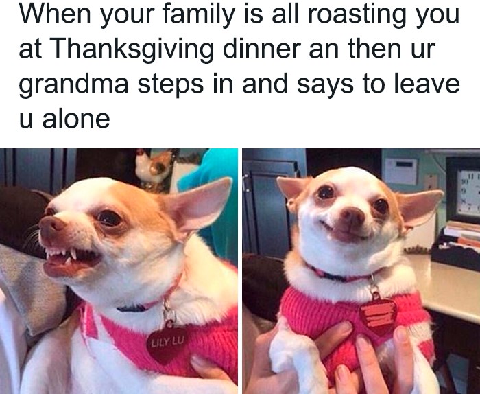 26 Timely memes to get you laughing
