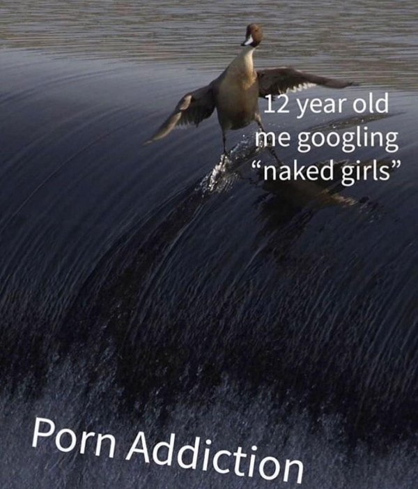 duck sliding down waterfall - 12 year old me googling "naked girls Porn Addiction