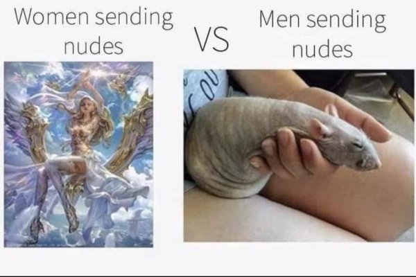 girls vs boys nudes meme - Women sending nudes Vs Men sending nudes