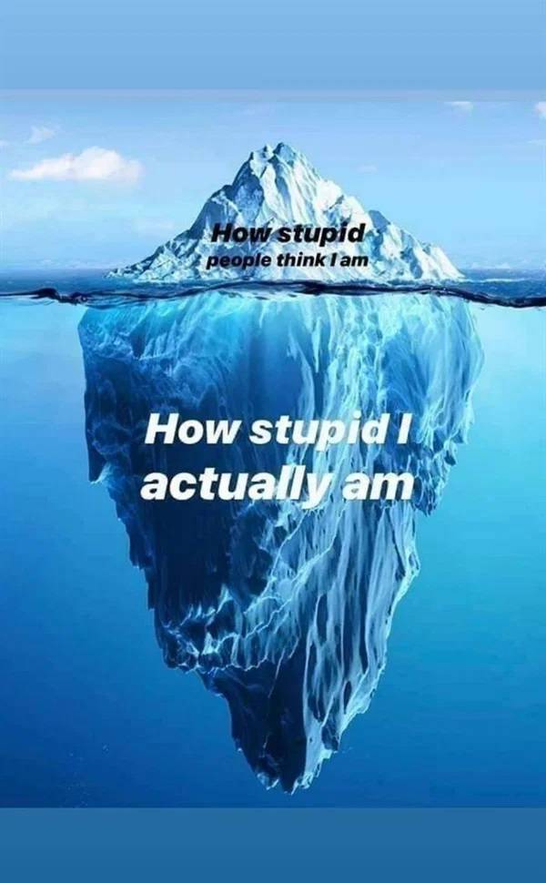 iceberg - How stupid people think I am How stupid actuallam