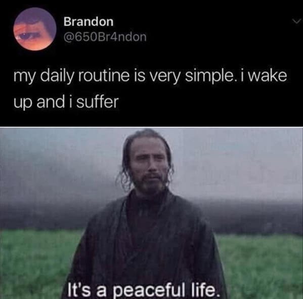 it's a peaceful life meme - Brandon my daily routine is very simple. i wake up and i suffer It's a peaceful life.