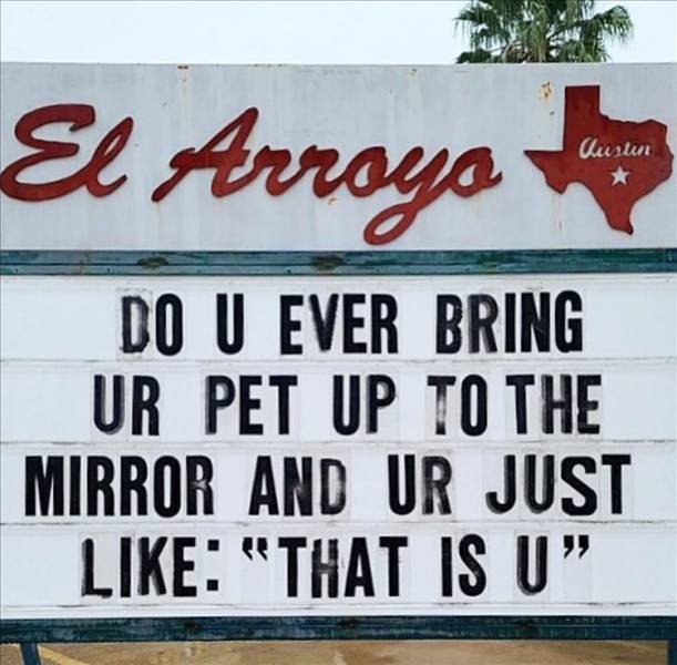 banner - El Arroyo Austin Do U Ever Bring Ur Pet Up To The Mirror And Ur Just "That Is U"