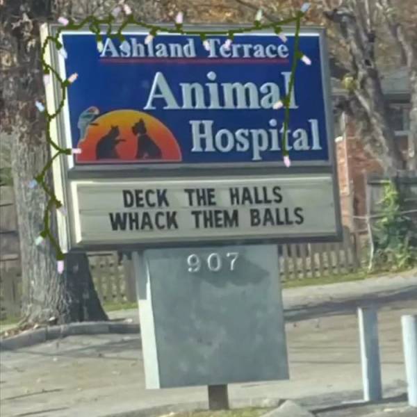 street sign - Ashland Terrace Animal Hospital Deck The Halls Whack Them Balls 907