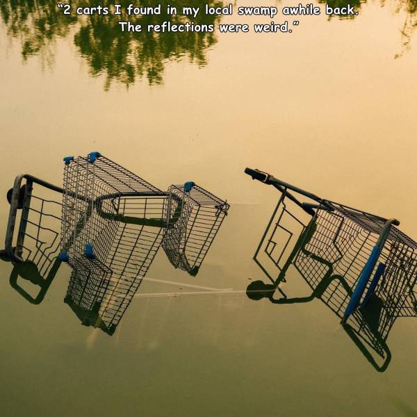 random pics - iron - "2 carts I found in my local swamp awhile back. The reflections were weird." m