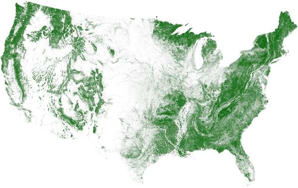 us forest map