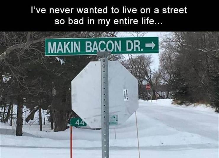 snow - I've never wanted to live on a street so bad in my entire life... Makin Bacon Dr. > 44