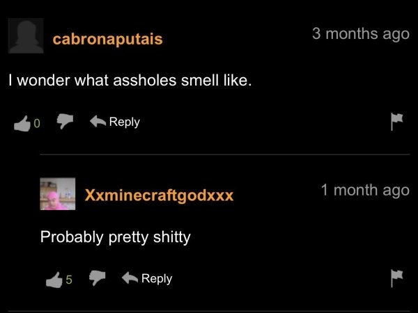 funny pornhub comments - I wonder what assholes smell like. Probably pretty shitty