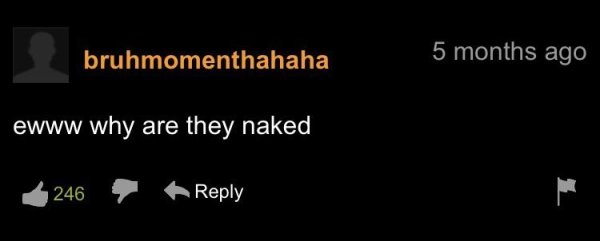 funny pornhub comments - ewww why are they naked 246