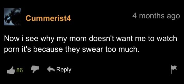 funny pornhub comments - Now i see why my mom doesn't want me to watch porn it's because they swear too much. 86