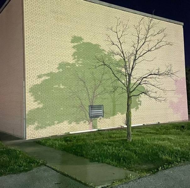 “This shadow is cast from 2 different trees in my parking lot.”