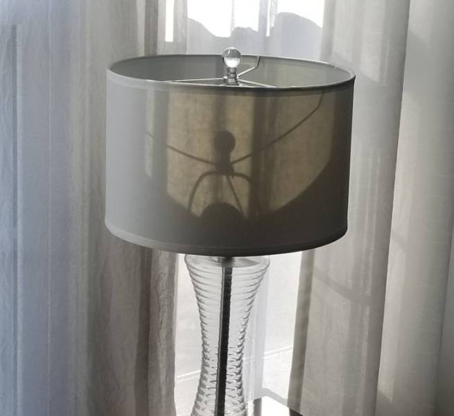 “The shadow from this lamp almost gave me a heart attack.”