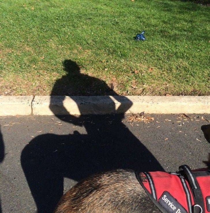 “My dog’s shadow turned me into a centaur.”