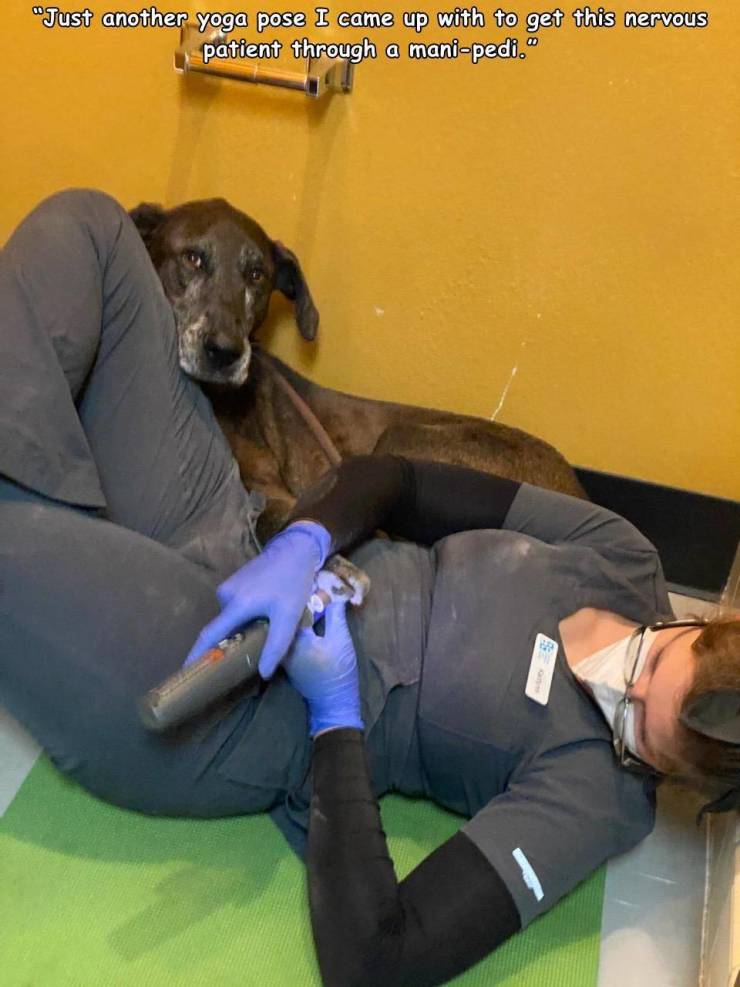 dog - "Just another yoga pose I came up with to get this nervous patient through a manipedi."