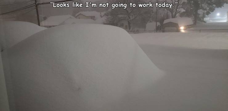 snow - "Looks I'm not going to work today."