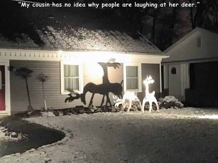 house - "My cousinhas no idea why people are laughing at her deer."