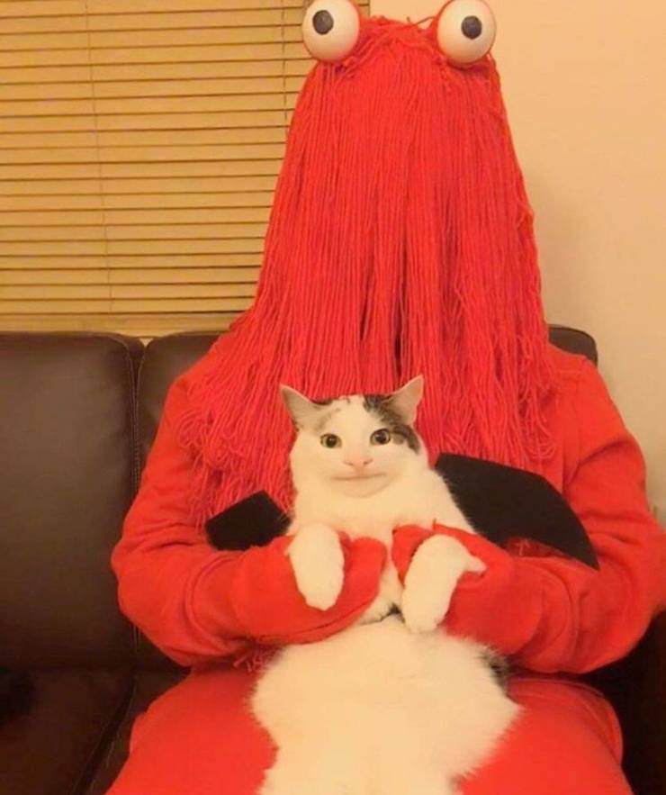 don t hug me im scared cat