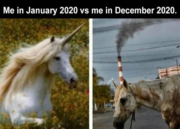 unicornio real - Me in vs me in . 22.