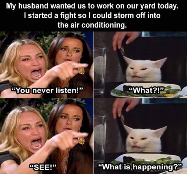 artisanal meme - My husband wanted us to work on our yard today. I started a fight so I could storm off into the air conditioning. You never listen! What?! See! "What is happening?