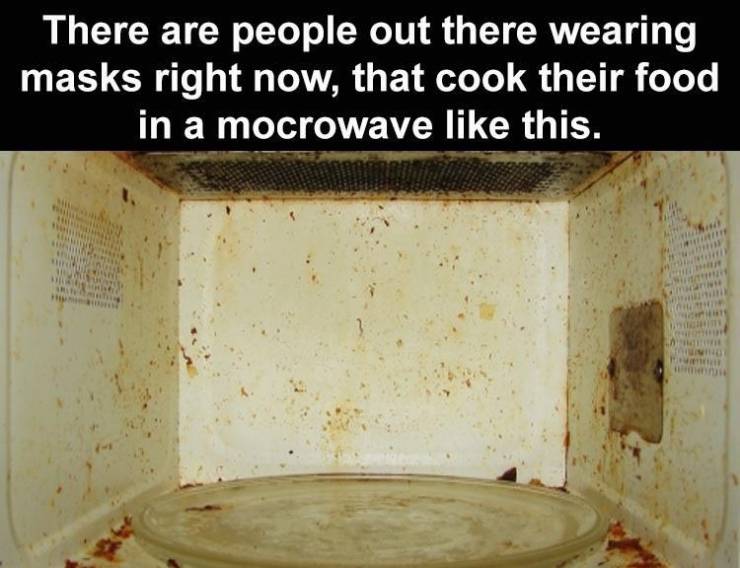 mold - There are people out there wearing masks right now, that cook their food in a mocrowave this.