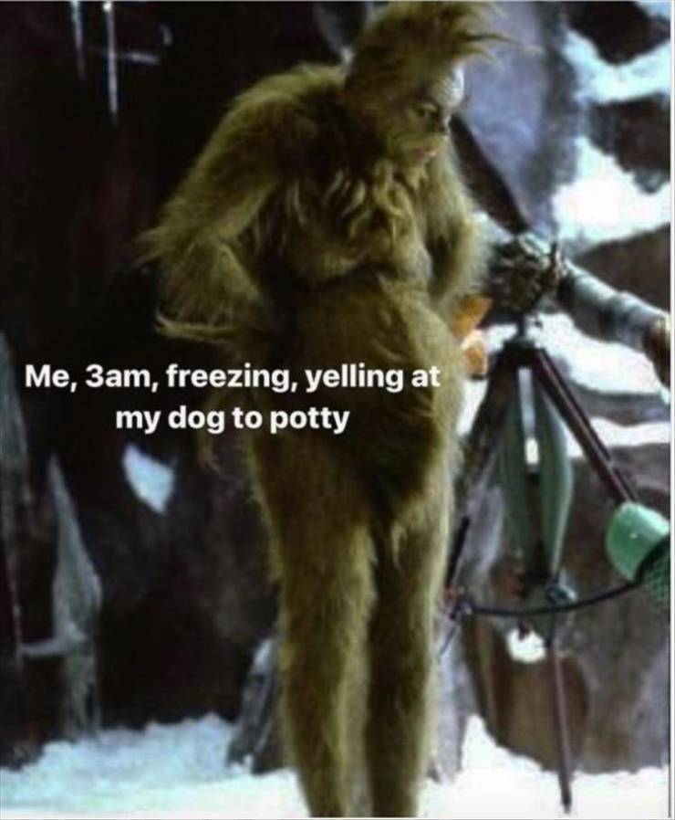 grinch pregnancy meme - Me, 3am, freezing, yelling at my dog to potty