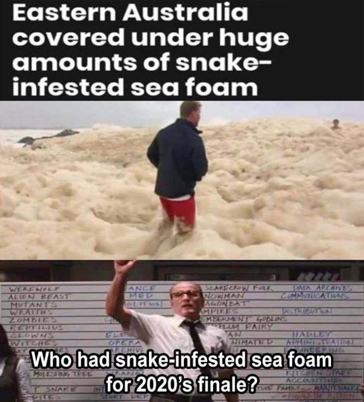 photo caption - Eastern Australia covered under huge amounts of snake infested sea foam Ane Alien Reast Mutants Domecowizi Agnes Norman Lenurier Ons Aguneat Zombie Meerment Equins Tom F37 Dlowis Nimated Holesi Who had snakeinfested sea foam for 2020's fin