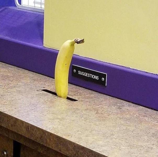 banana in suggestion box - Suggestions