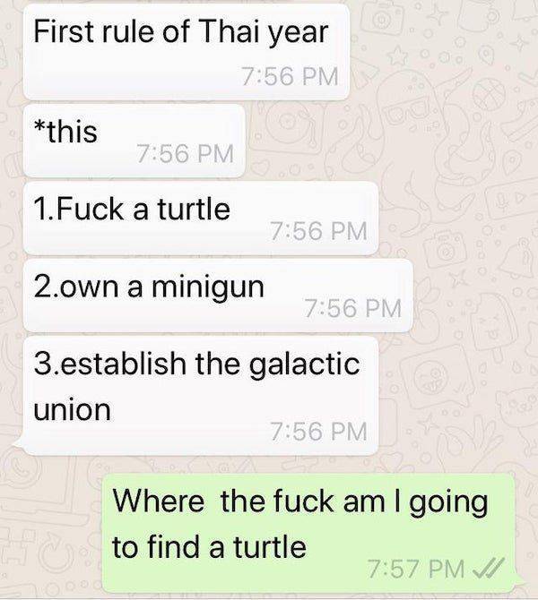 paper - First rule of Thai year this 1.Fuck a turtle 2.own a minigun 3.establish the galactic union Where the fuck am I going to find a turtle