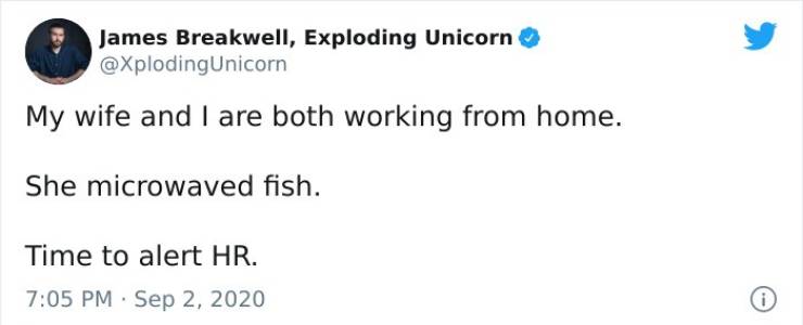 diagram - James Breakwell, Exploding Unicorn My wife and I are both working from home. She microwaved fish. Time to alert Hr. i