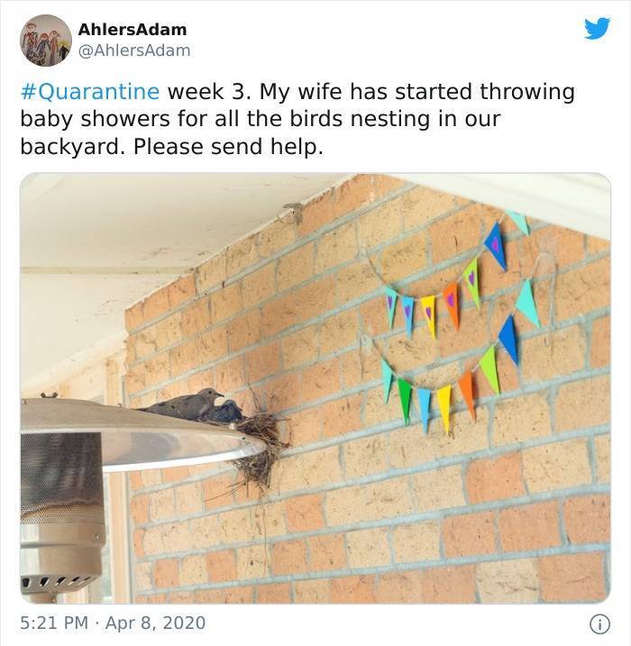 wall - AhlersAdam week 3. My wife has started throwing baby showers for all the birds nesting in our backyard. Please send help.