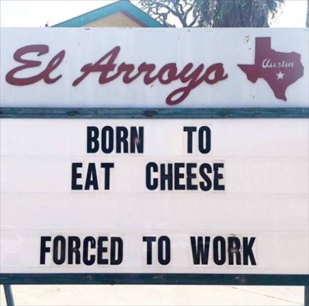 street sign - El Arroyo Custun Born To Eat Cheese Forced To Work
