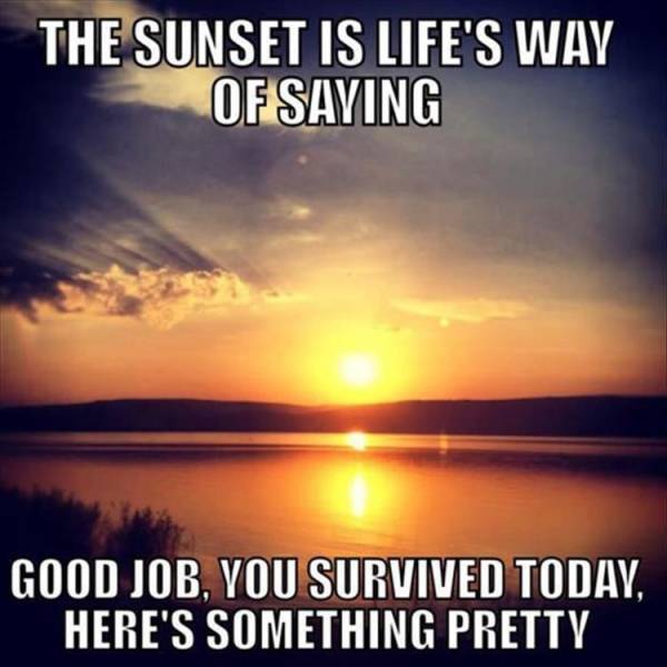 sunset funny quotes - The Sunset Is Life'S Way Of Saving Good Job, You Survived Today. Here'S Something Pretty