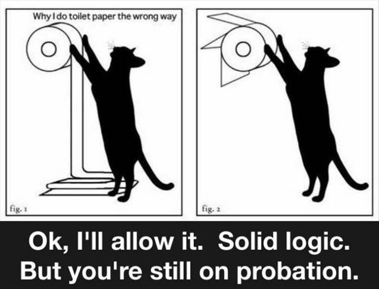 cat toilet paper roll - Why I do toilet paper the wrong way fig. 1 fig. 2 Ok, I'll allow it. Solid logic. But you're still on probation.