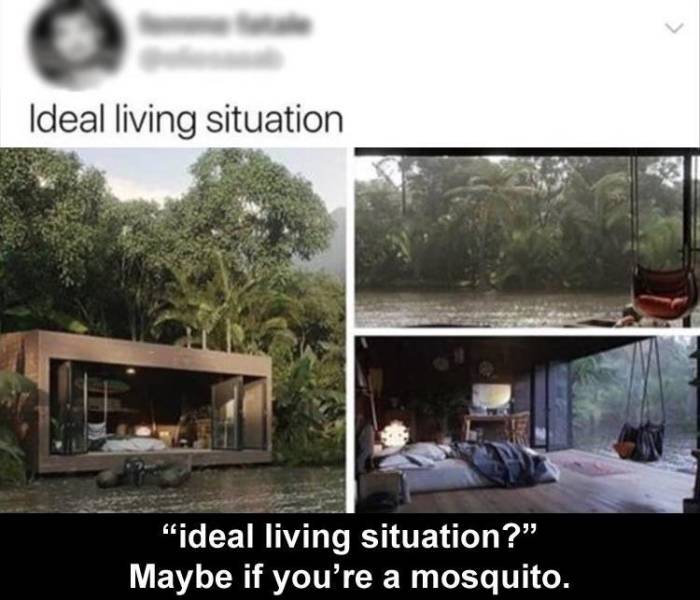 architecture - Ideal living situation "ideal living situation? Maybe if you're a mosquito.