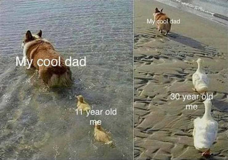 34 Feel Good Memes To Warm Your Ice Cold Heart