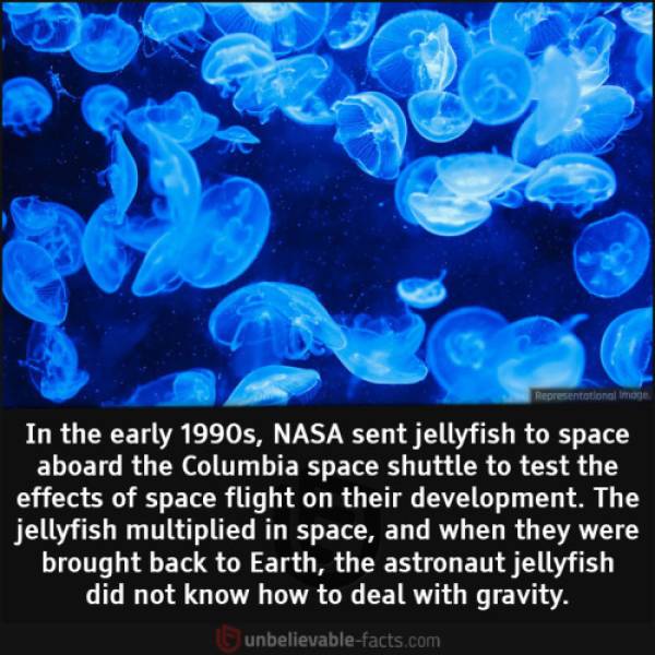42 Fascinating Facts And Photos About The World