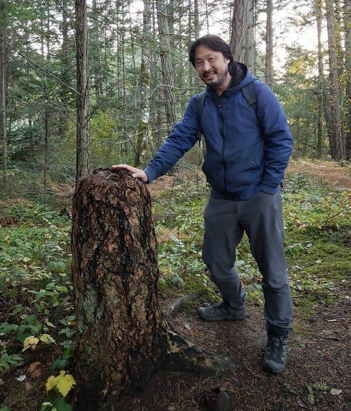 "Here's an example of a so-called "trees knee", that is, a living stump of a Douglas-fir that has healed over with bark and is kept alive via mycorrhizal fungal connections between its roots to the roots of living trees surrounding it, who send it nutrients to survive in this sort of zombie nub state"