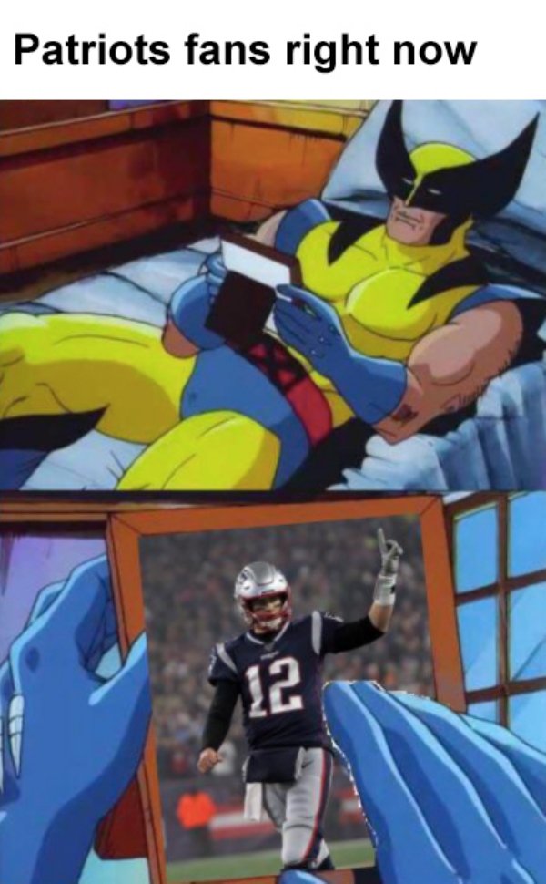 wolverine looking - Patriots fans right now 12