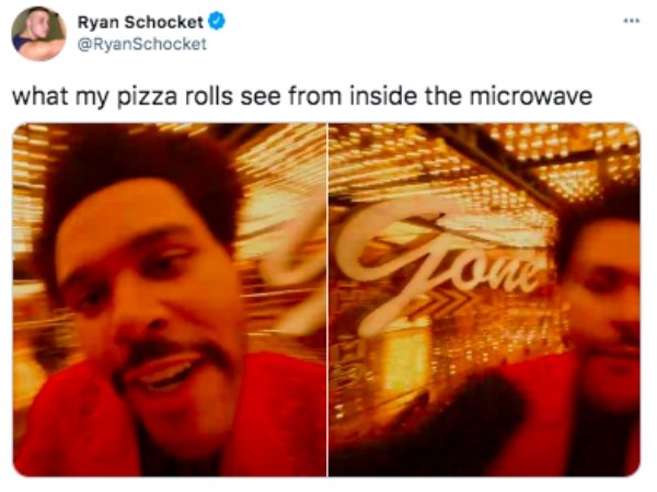human - Ryan Schocket what my pizza rolls see from inside the microwave Tone