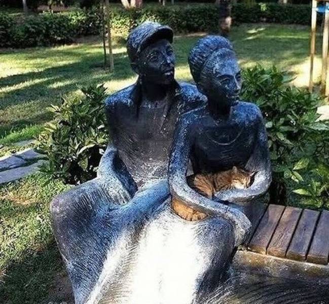 cat on statue lap