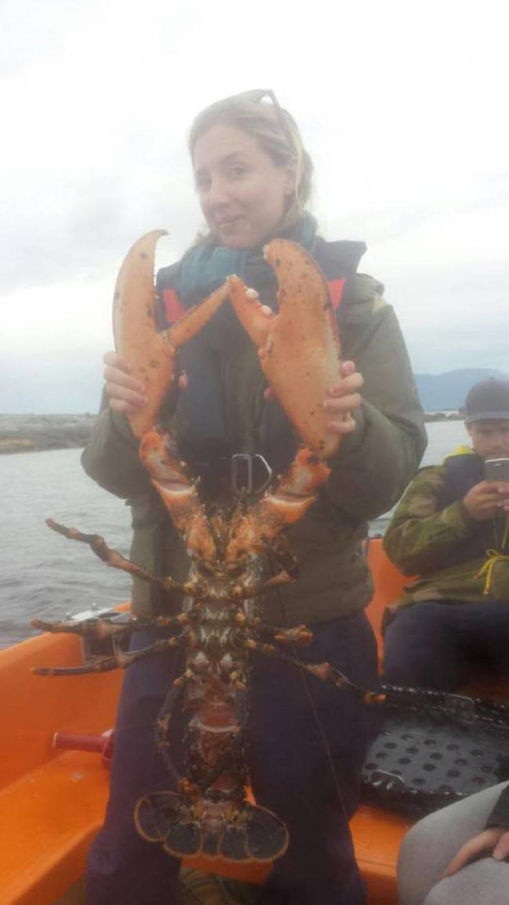 biggest lobster ever seen