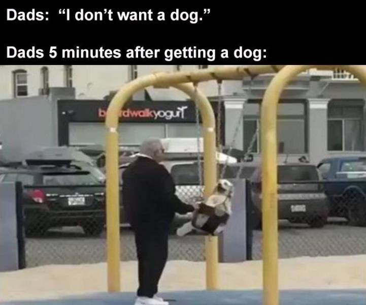man pushing dog in swing - Dads "I don't want a dog." Dads 5 minutes after getting a dog brdwakyoguit
