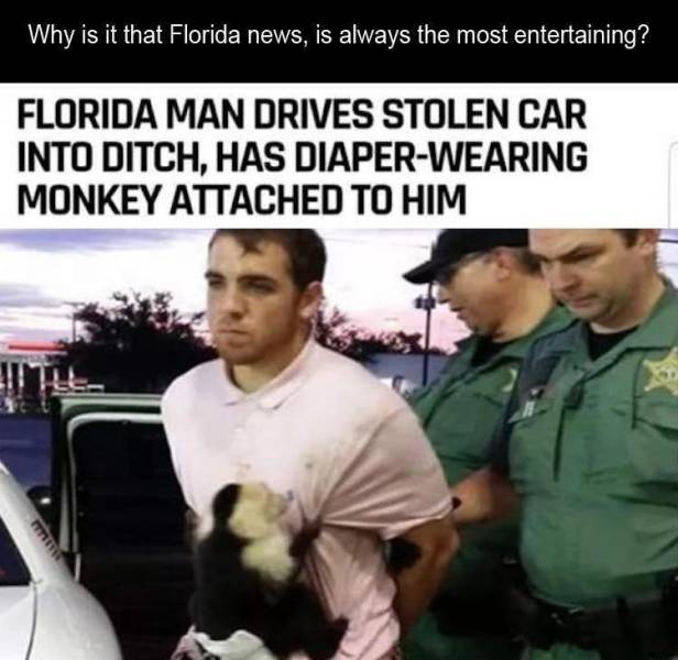 wearing shirt and diaper only - Why is it that Florida news, is always the most entertaining? Florida Man Drives Stolen Car Into Ditch, Has DiaperWearing Monkey Attached To Him